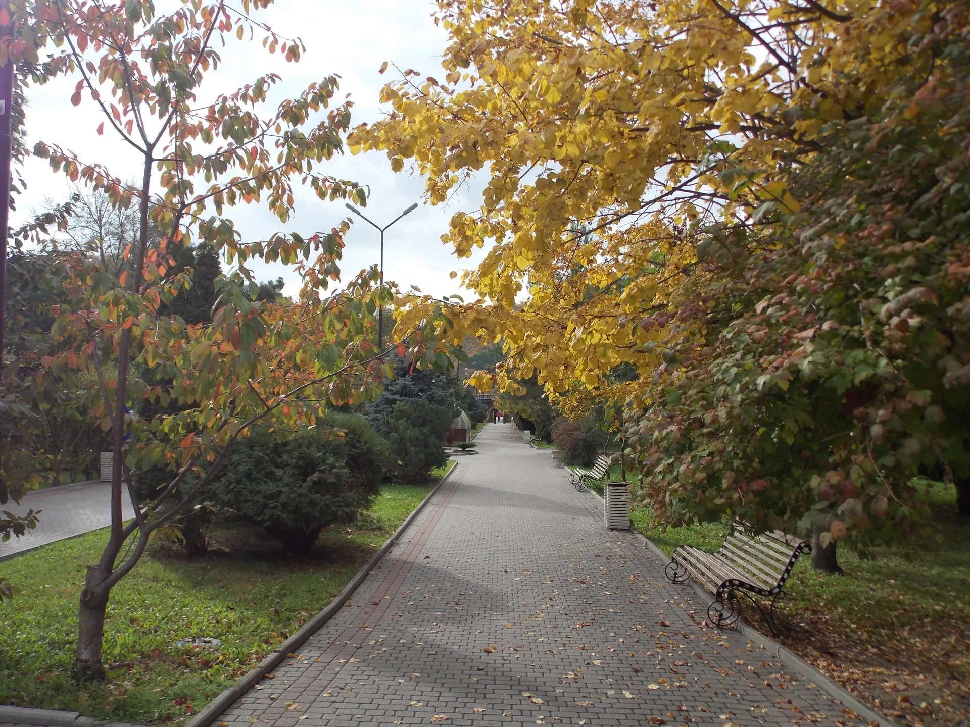 Изображение статьи