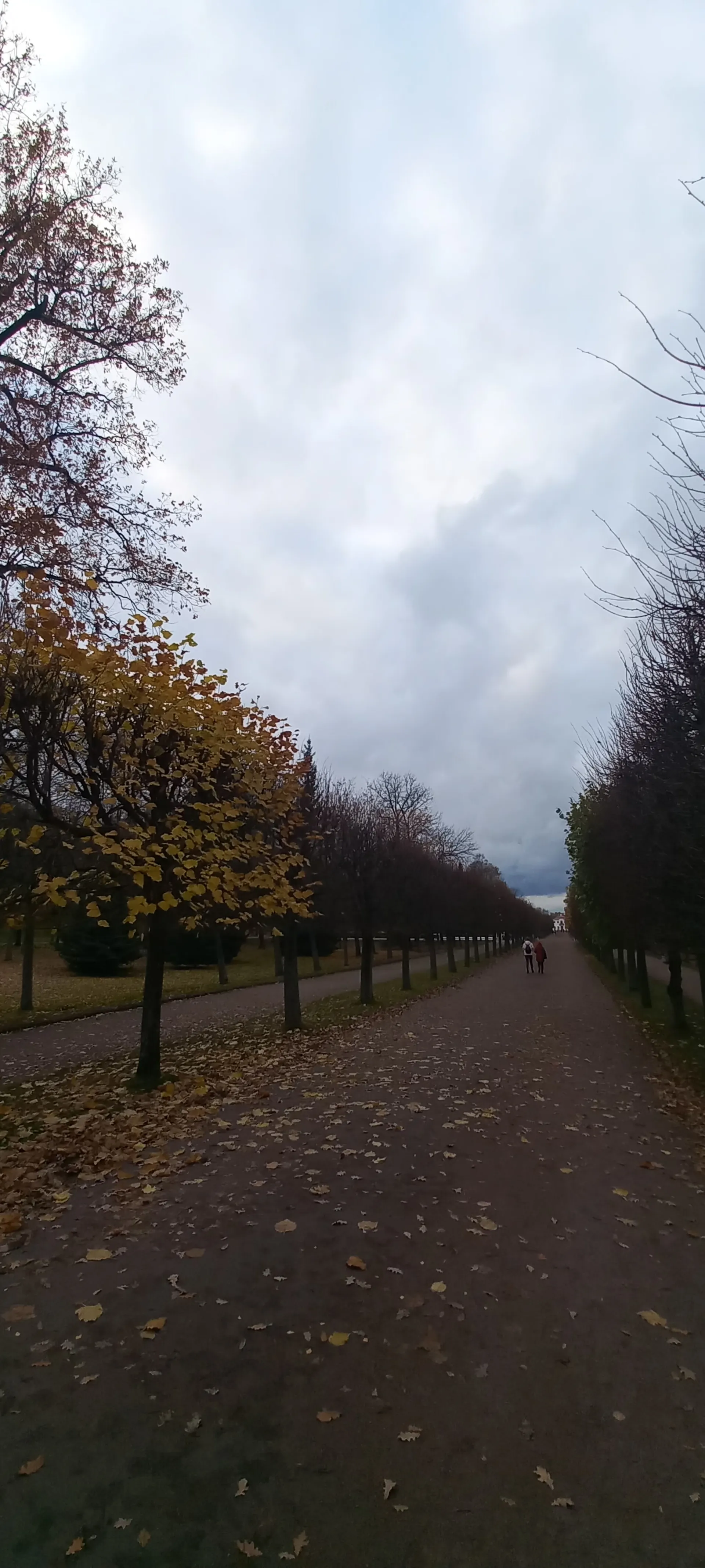 Осенний Петергоф