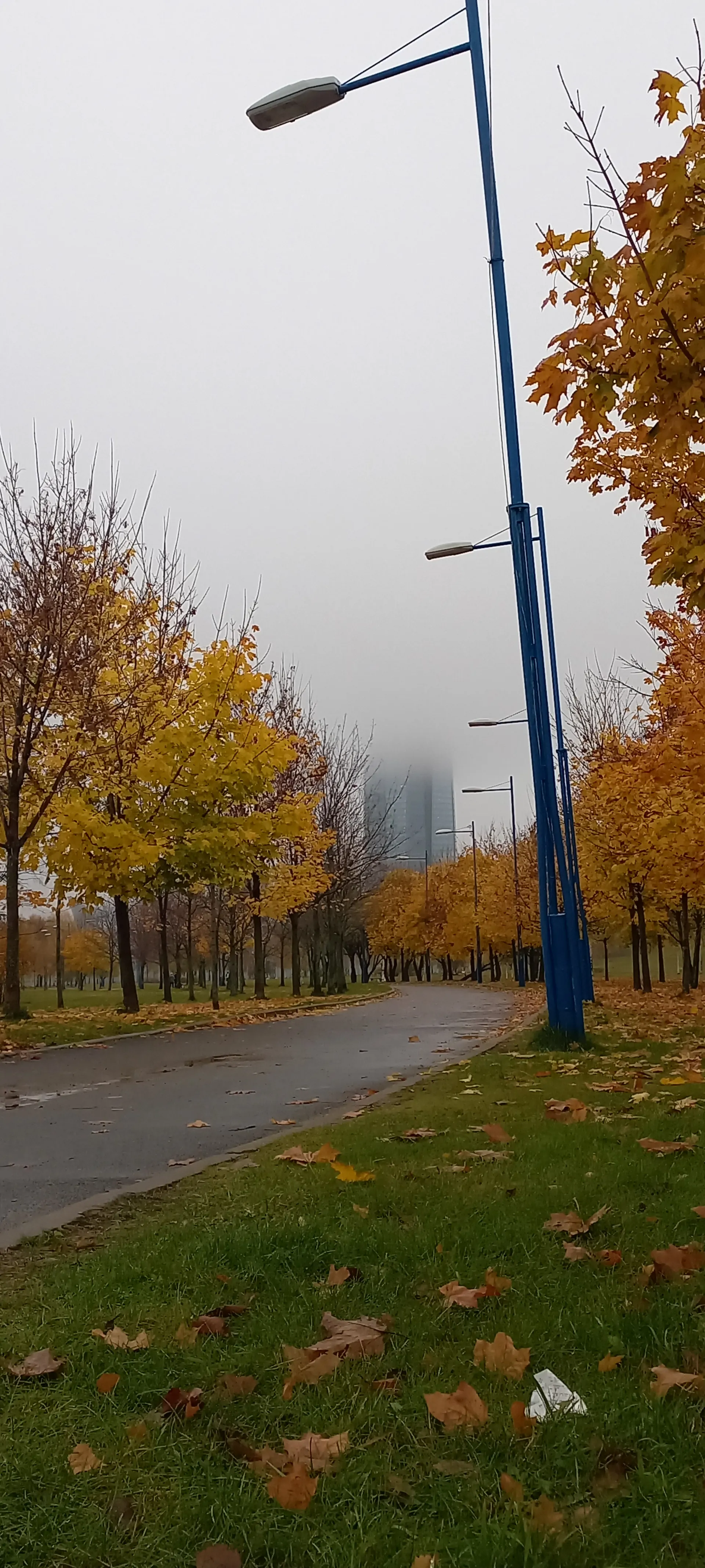 Осенняя аллея