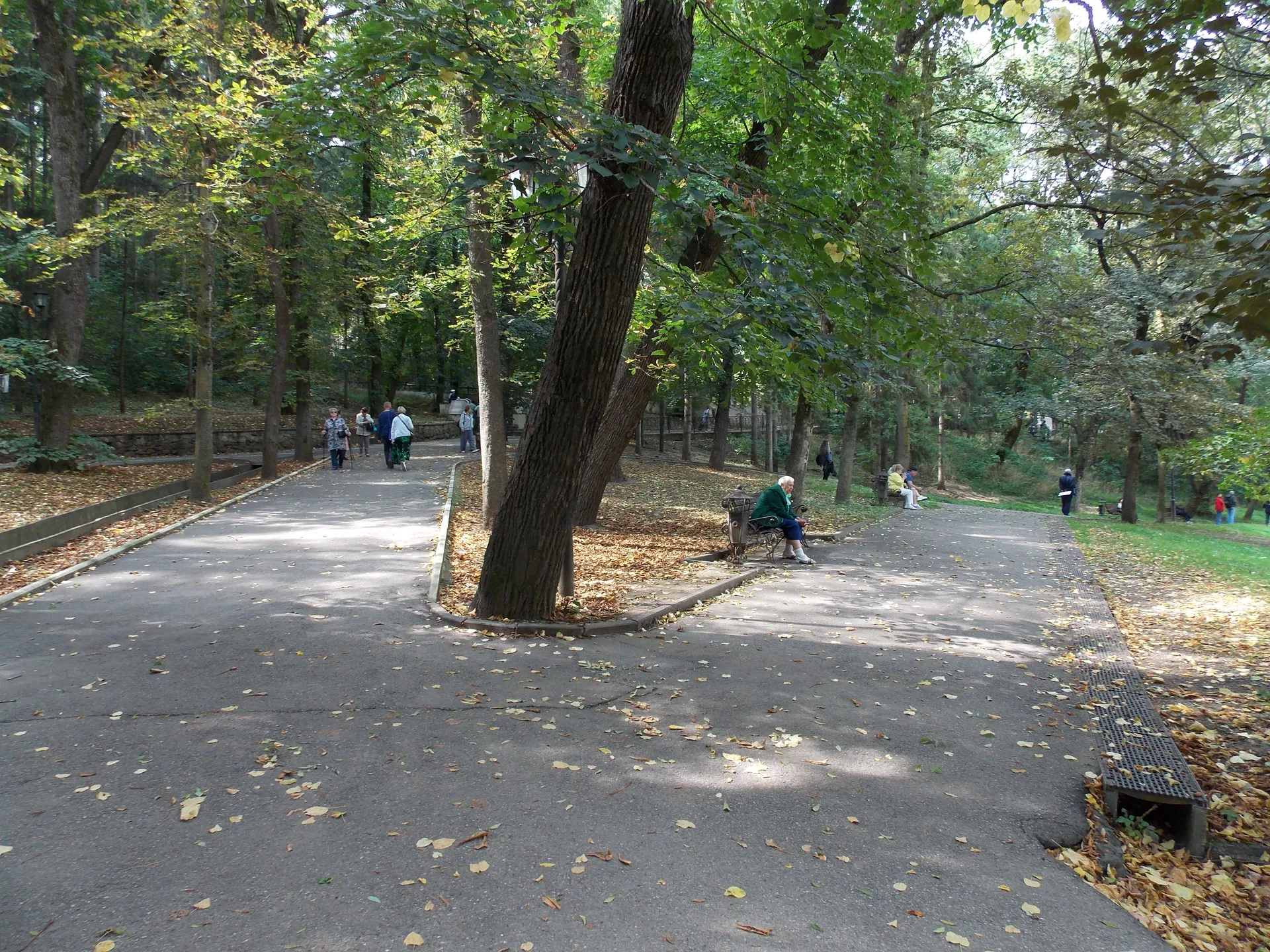 Терренкур в парке Кисловодске